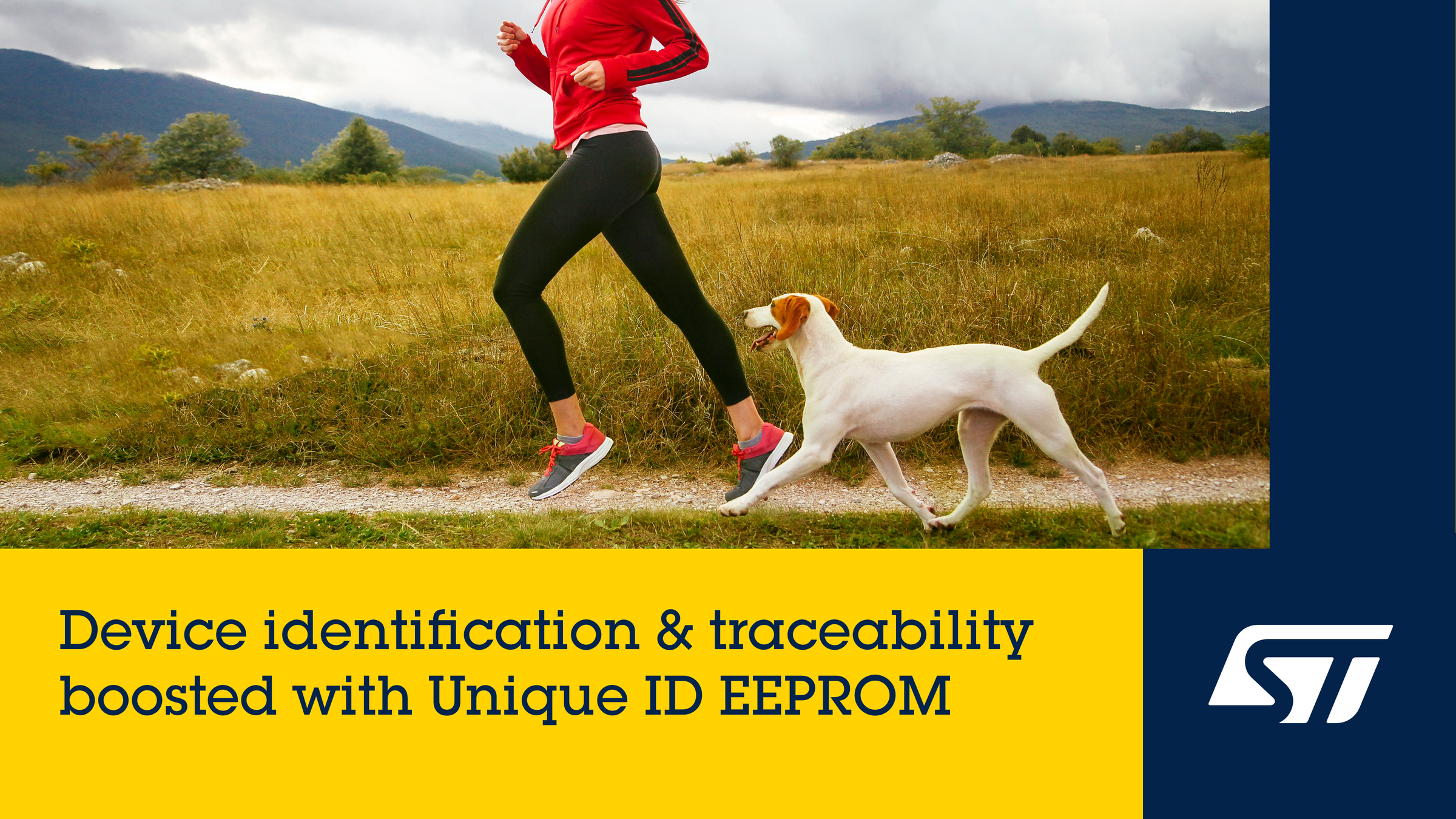 New Serial EEPROM Family Features Unique ID for Identification, Traceability and Sustainability